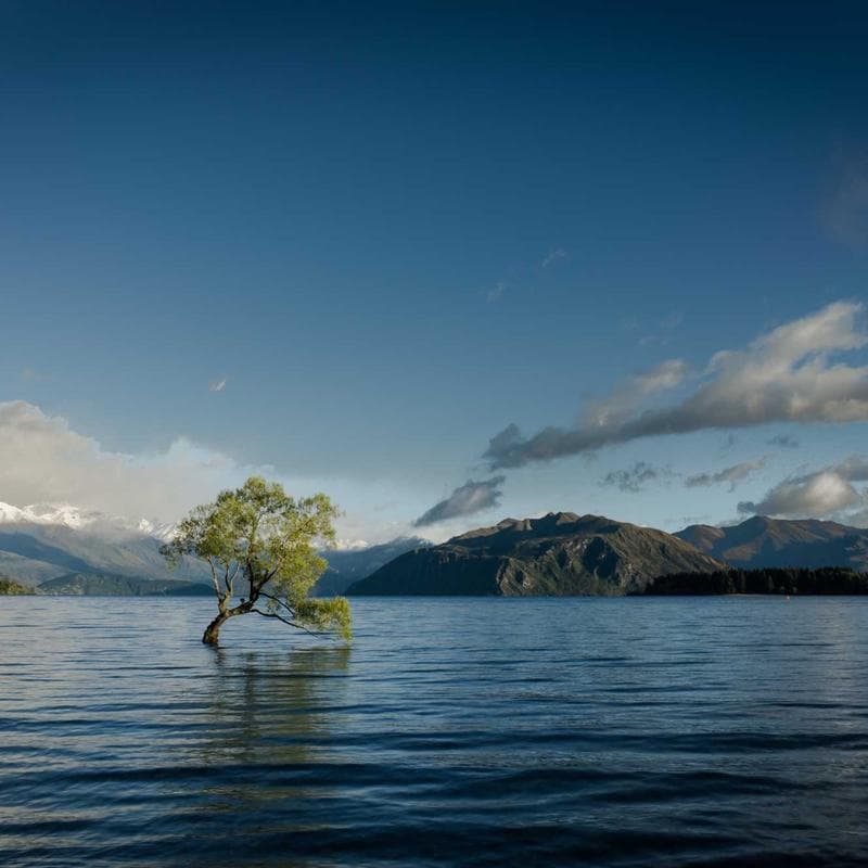 Winrolar Reformer - Black - In Use