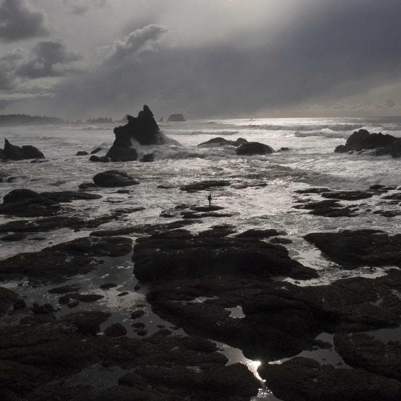 Winrolar Reformer - Black - Folded